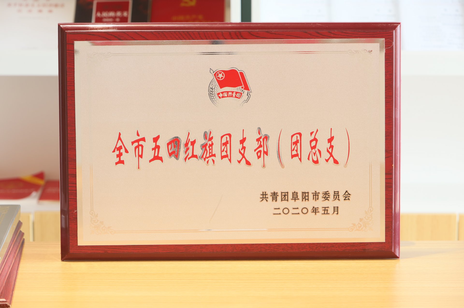 阜阳投发教育投资有限公司（以下简称“